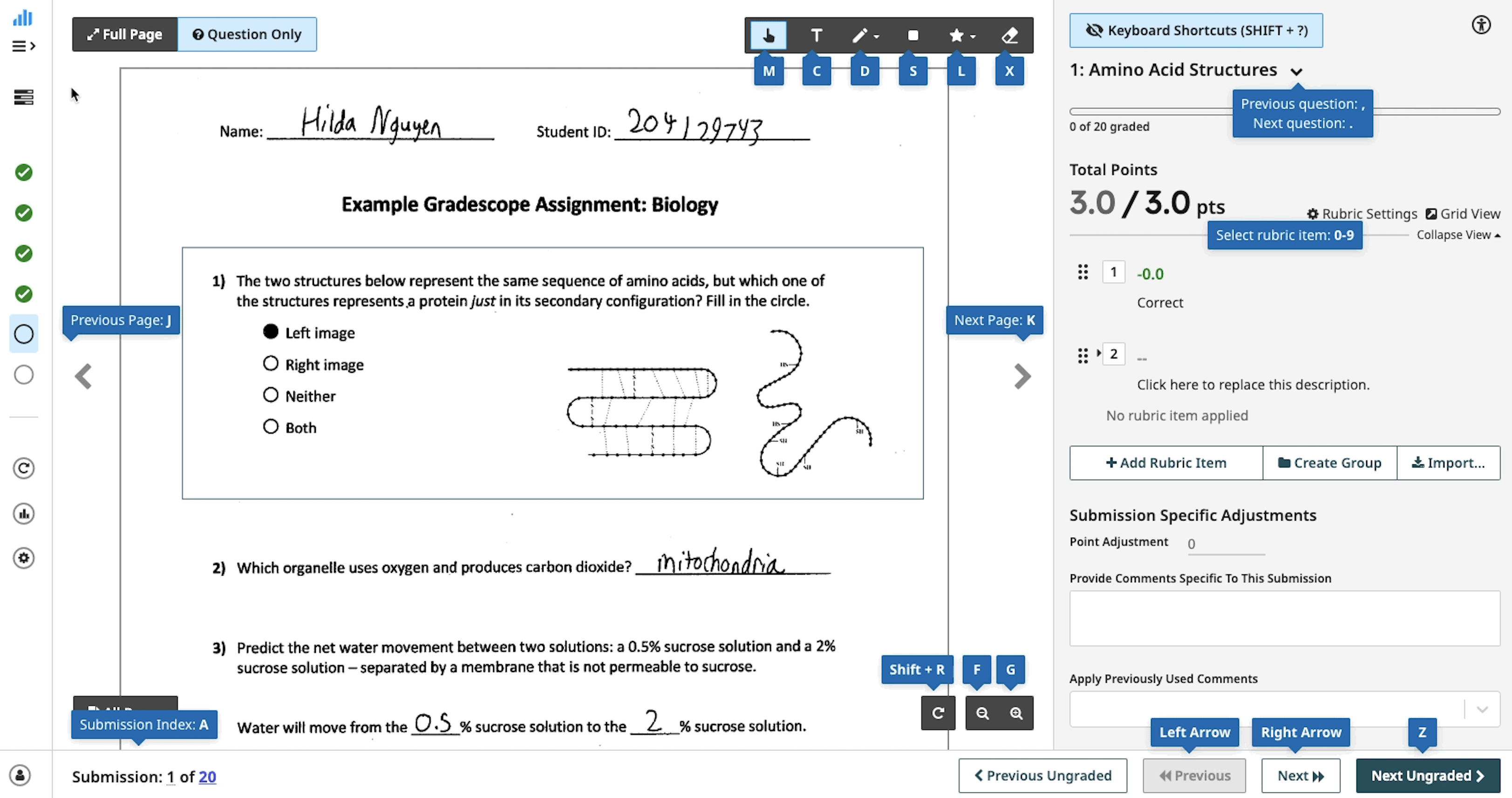 gs-faq-accesibility-keyboard navigation