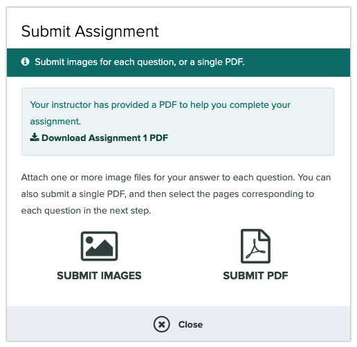 bb-gscope-student-submit-image-pdf.png
