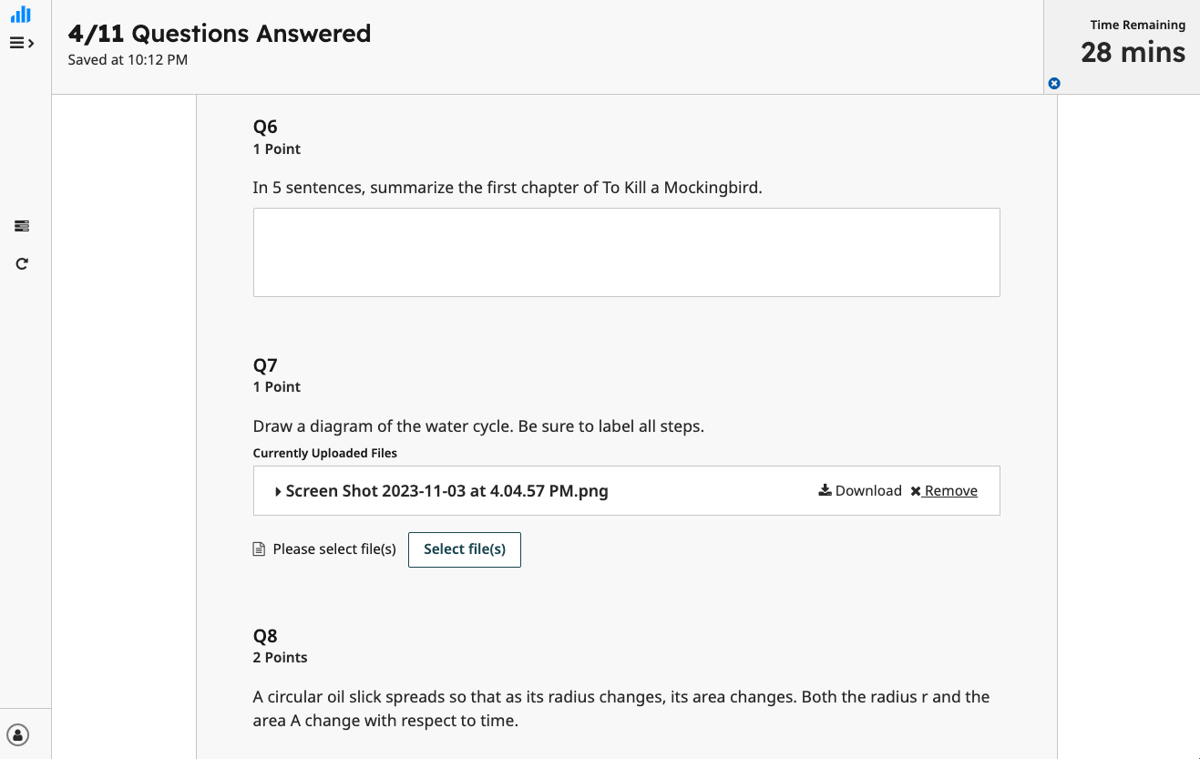 File upload question on online assignment - student submissino.png